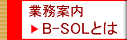 業務案内、B-SOLとは